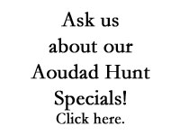 Free Hunt